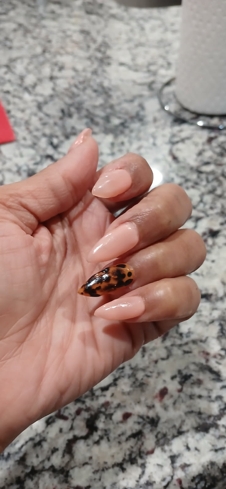 Nude & Tortoise Accent Set